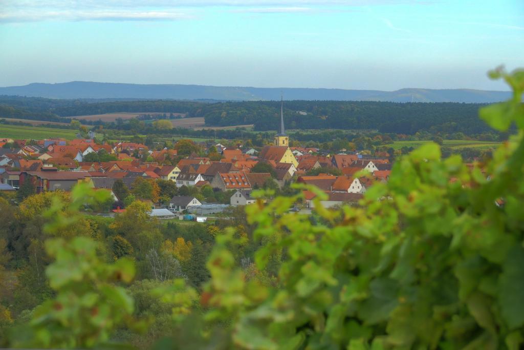 Flair-Hotel Zum Benediktiner Schwarzach am Main Exteriér fotografie