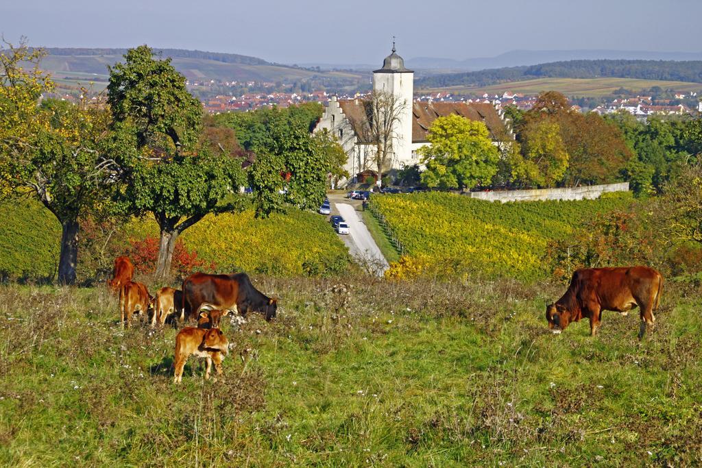 Flair-Hotel Zum Benediktiner Schwarzach am Main Exteriér fotografie