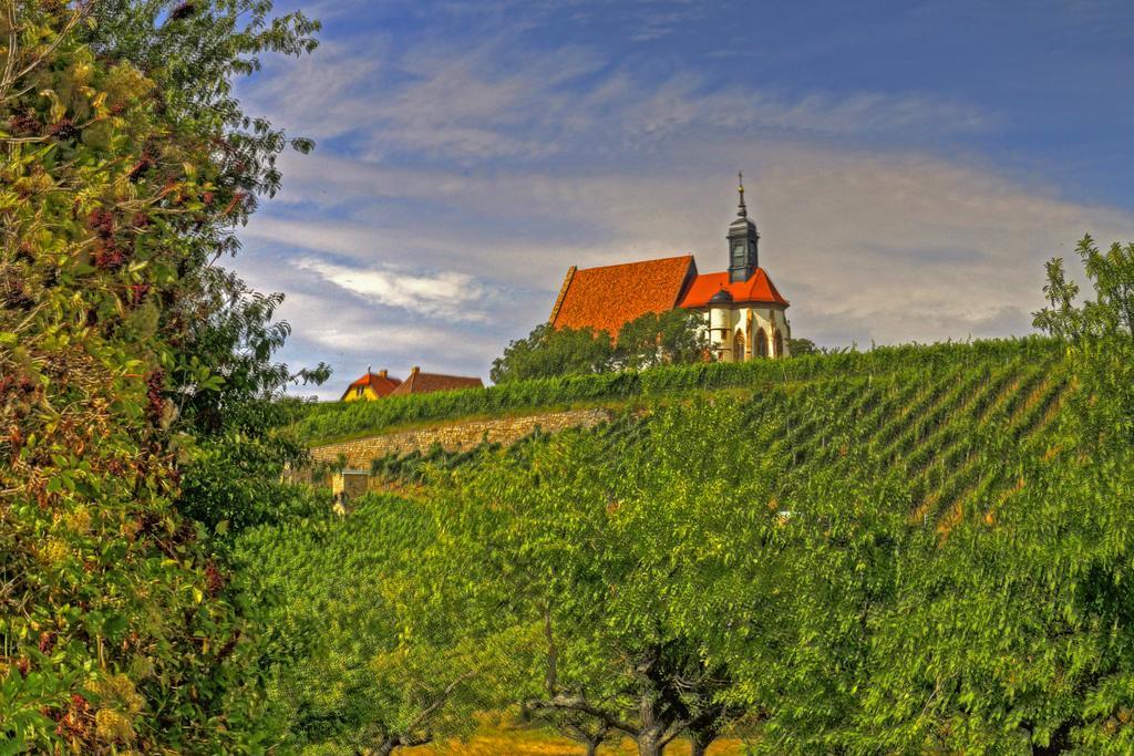 Flair-Hotel Zum Benediktiner Schwarzach am Main Exteriér fotografie